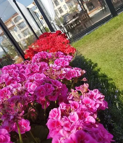 Sea Club Sarafovo *